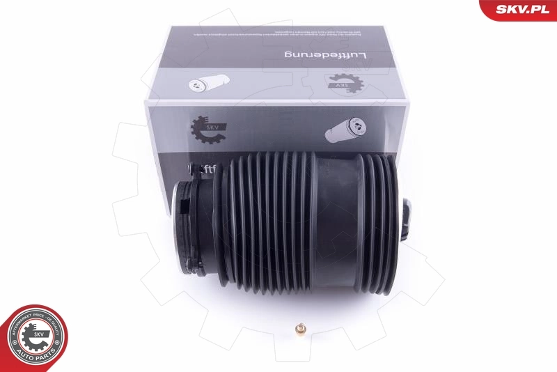 Air Spring, suspension